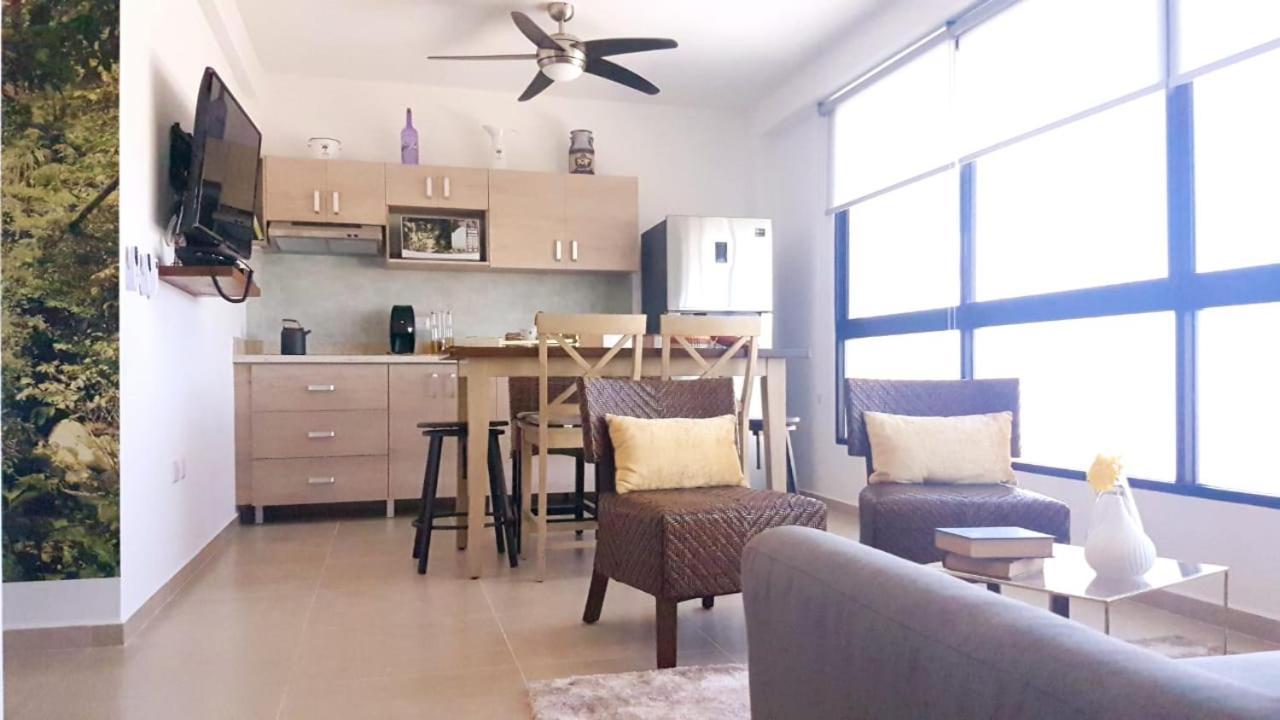 Nice And Centric Apartment ปลายาเดลการ์เมน ภายนอก รูปภาพ